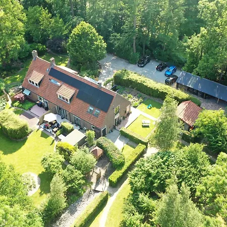 De Buitenhof-3